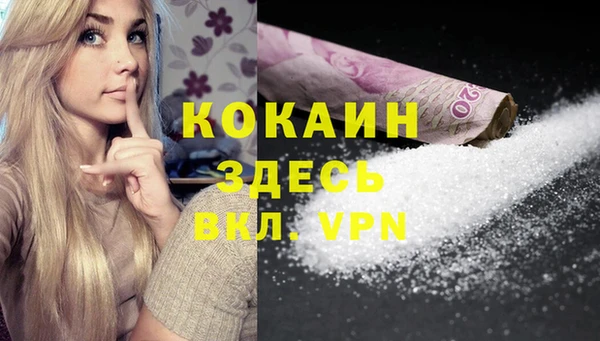 spice Алзамай