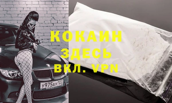 spice Алзамай