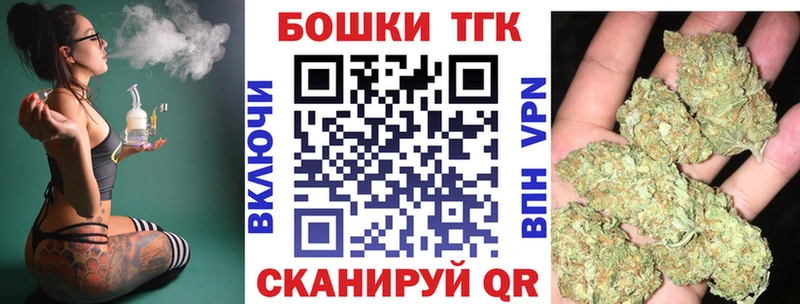 Бошки Шишки план Тайшет